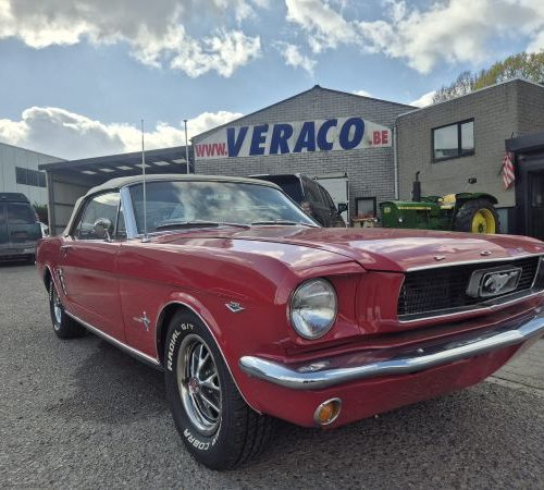FORD MUSTANG - BJ 1966-V8- Cabrio-BEAUTY !!!!