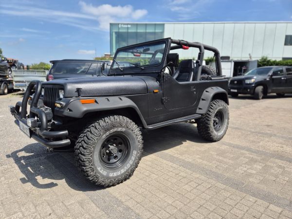 JEEP WRANGLER/OLDTIMER - BJ 1993 - Afbeelding 3