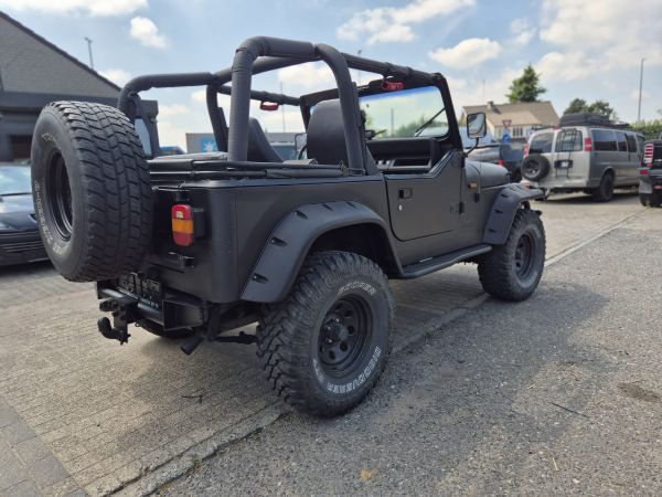 JEEP WRANGLER/OLDTIMER - BJ 1993 - Afbeelding 6