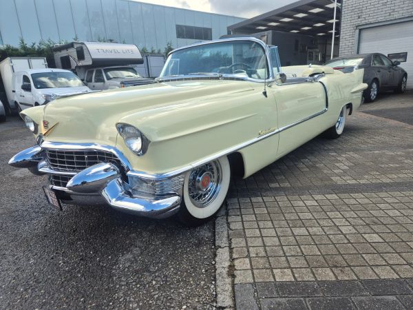 CADILLAC ELDORADO - BJ 1955-CONVERTIBLE - Afbeelding 3