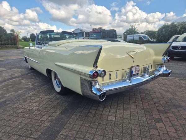 CADILLAC ELDORADO - BJ 1955-CONVERTIBLE - Afbeelding 5