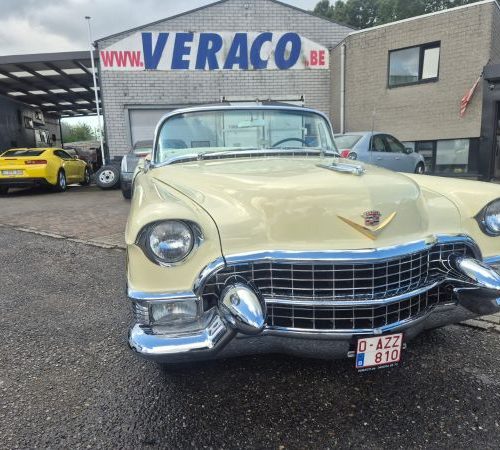 CADILLAC ELDORADO - BJ 1955-CONVERTIBLE