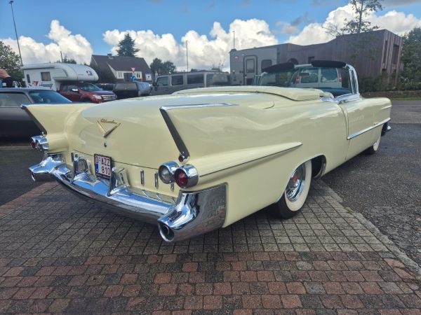CADILLAC ELDORADO - BJ 1955-CONVERTIBLE - Afbeelding 7