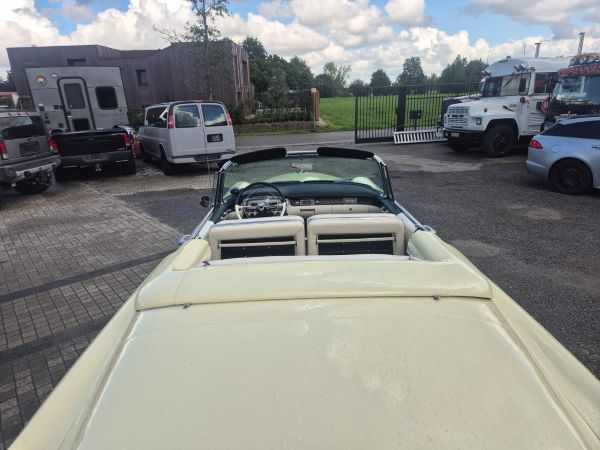 CADILLAC ELDORADO - BJ 1955-CONVERTIBLE - Afbeelding 9