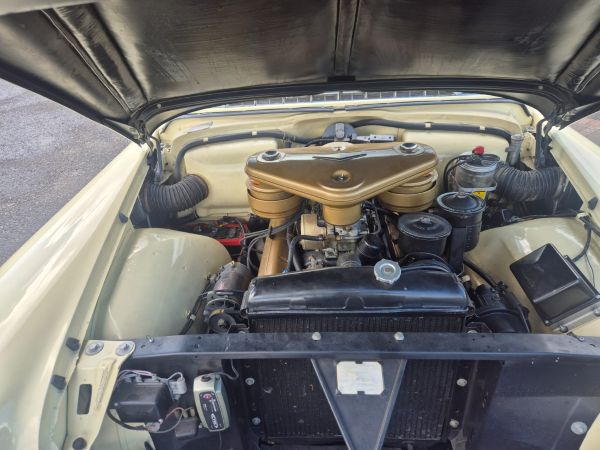 CADILLAC ELDORADO - BJ 1955-CONVERTIBLE - Afbeelding 14