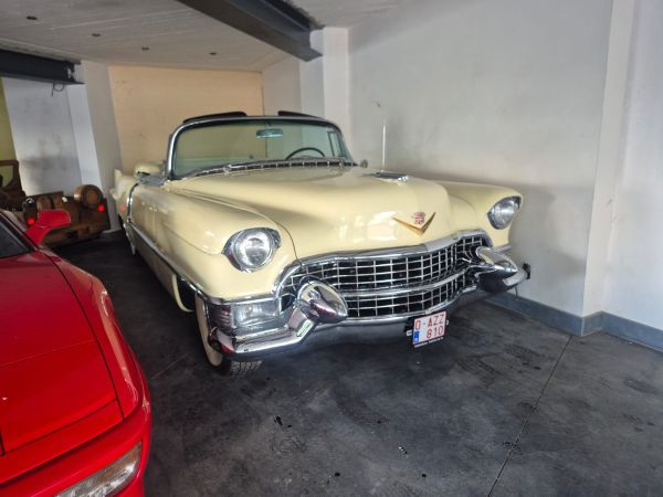 CADILLAC ELDORADO - BJ 1955-CONVERTIBLE - Afbeelding 15